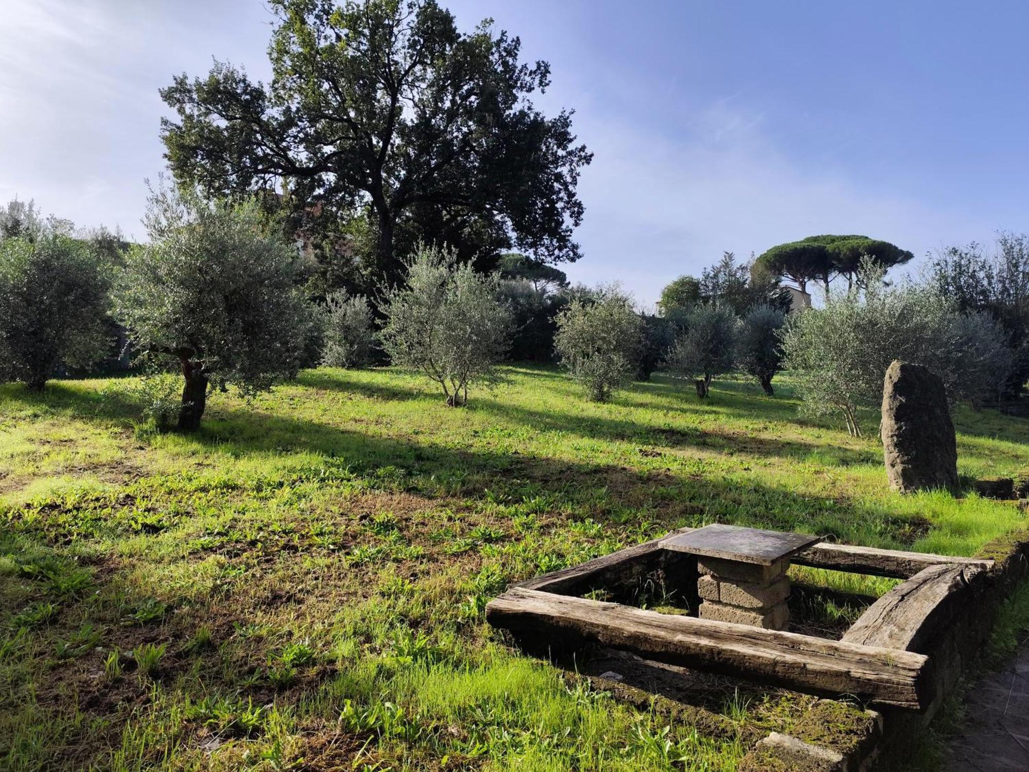 Green Hotel Poggio Regillo Frascati Exterior foto